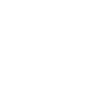 euro